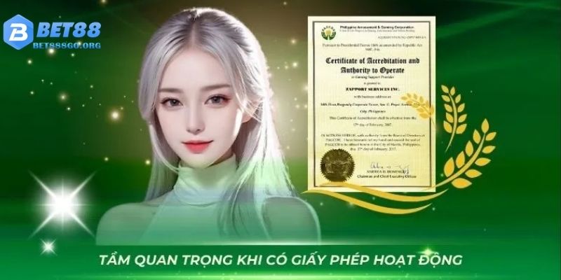 Giấy phép hoạt động của tầm quan trọng với các thương hiệu giải trí